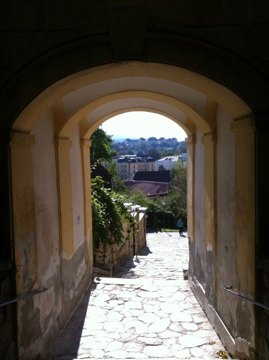 IMG_8871 Melk.jpg