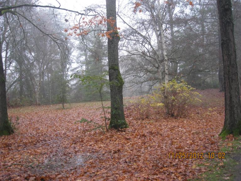 096.JPG