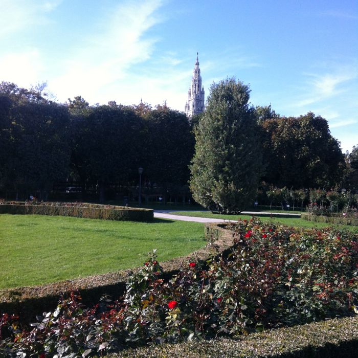 IMG_8932 Volksgarten.jpg