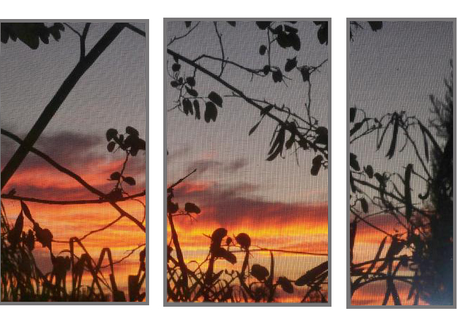 sunset.jpg