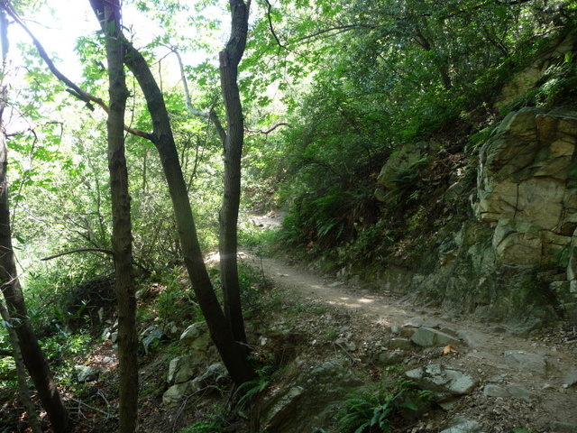 P1200722.JPG