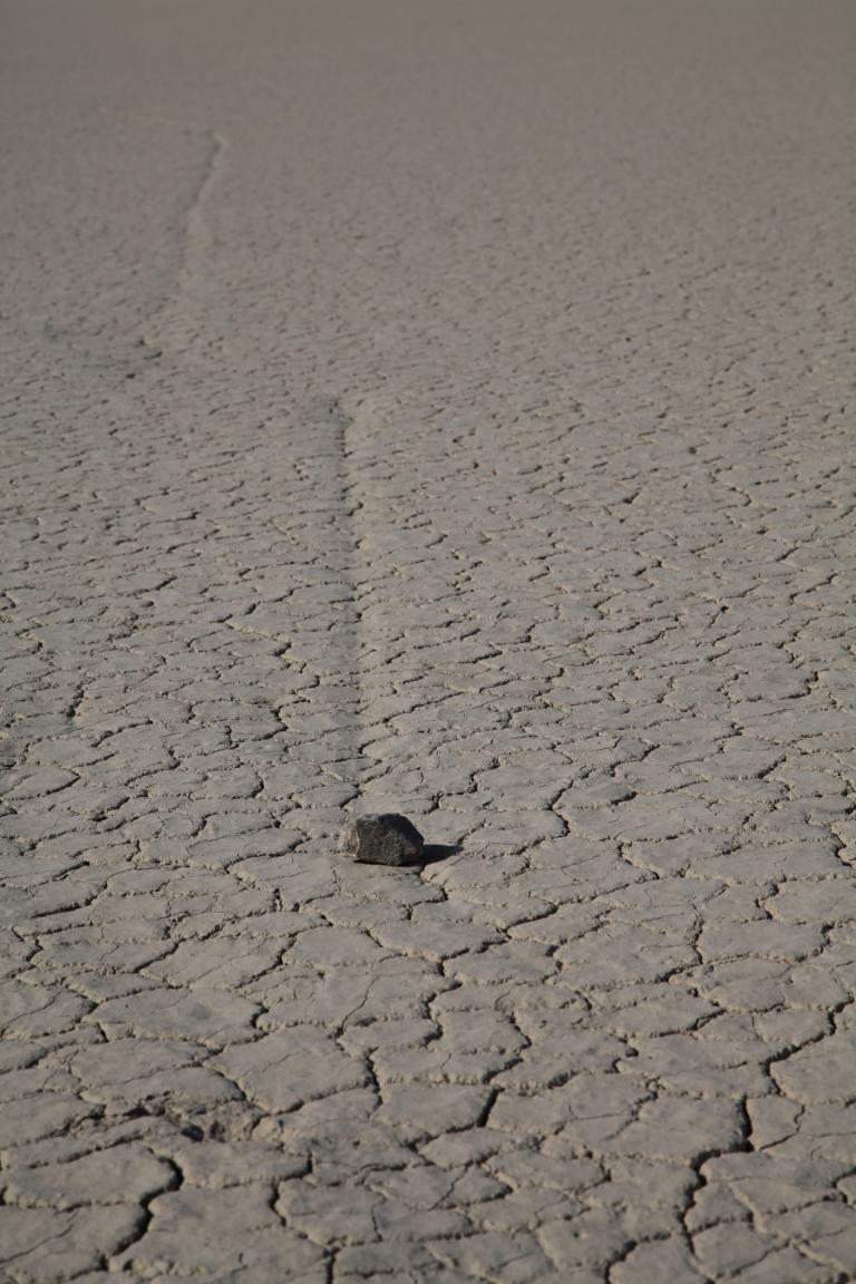 IMG_2613-1.jpg