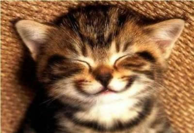and smile at least once a day.jpg