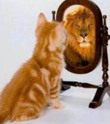 believe in yourself.jpg