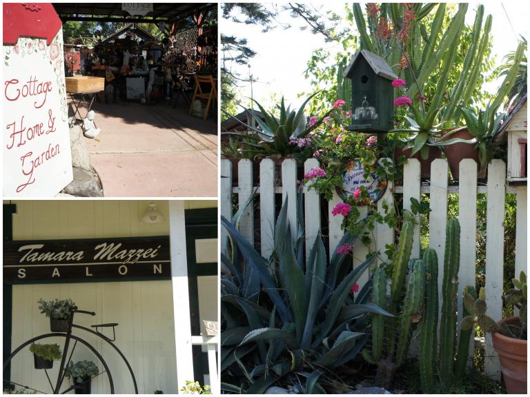 9-16-2012 Los Rios D1.jpg