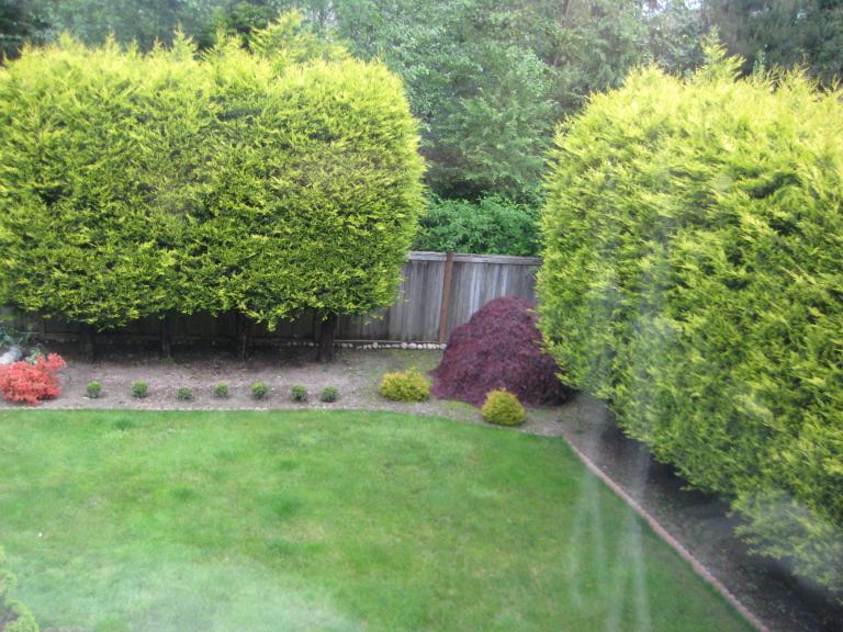 IMG_1450.JPG