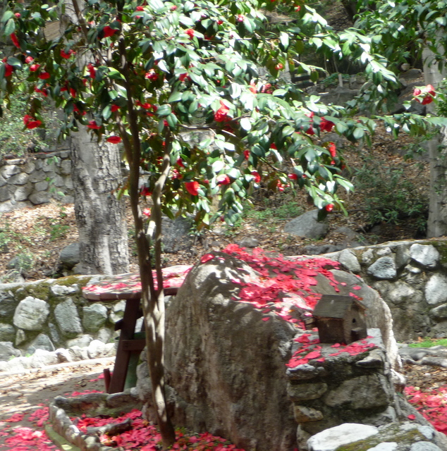 P1170737.JPG