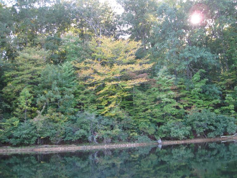 IMG_3737.jpg