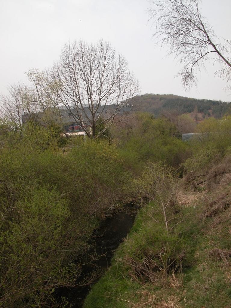 DSCN0331.JPG