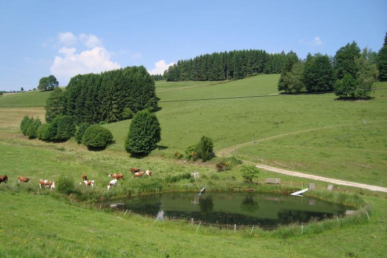 Juni 012_copy.jpg