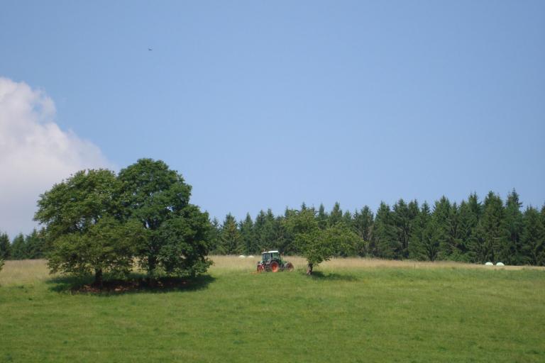 Juni 019_copy.jpg