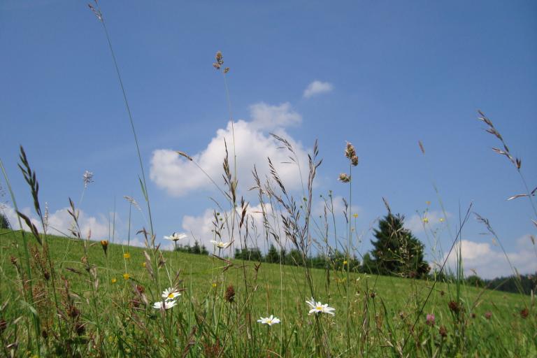 Juni 026_copy.jpg
