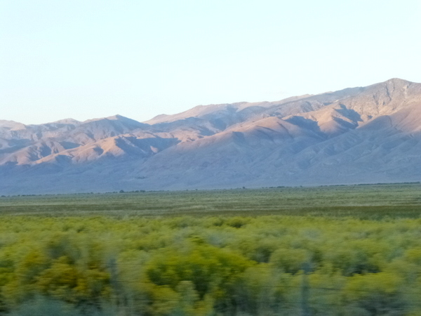 P1000027.JPG