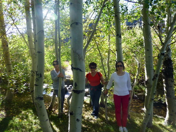 P1000142.JPG