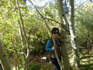 P1000146.JPG