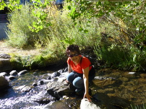 P1000153.JPG