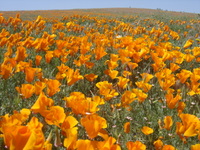 DSC03359.JPG