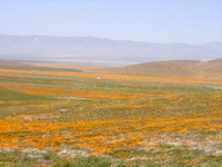 DSC03380.JPG