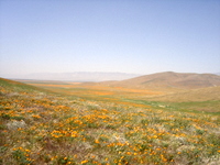 DSC03391.JPG