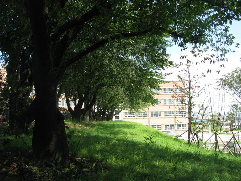 2010.9.4 025.jpg