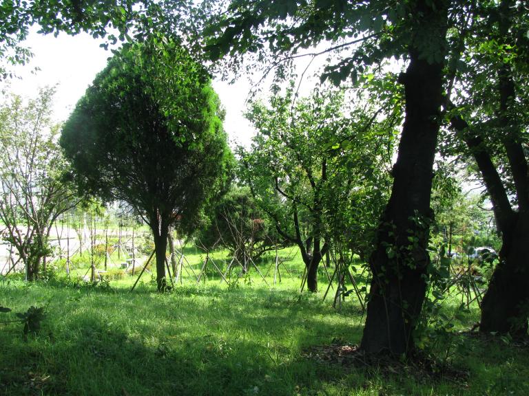 2010.9.4 026.jpg