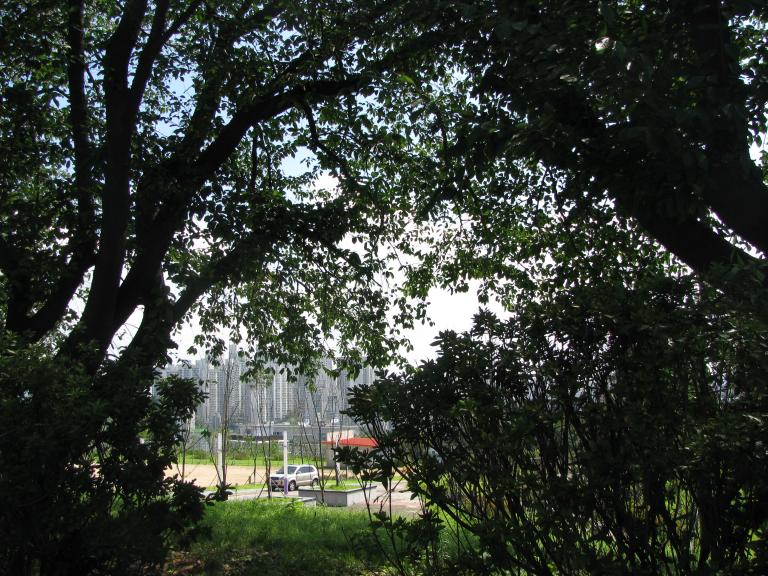 2010.9.4 028.jpg