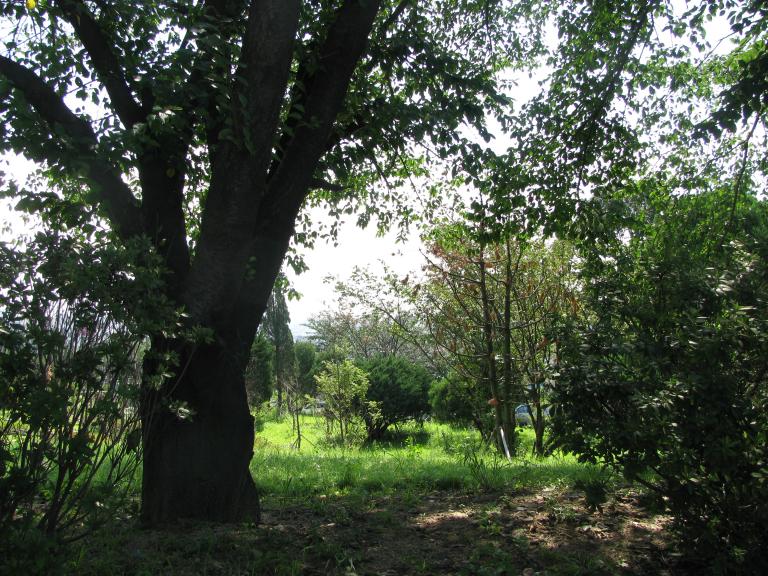 2010.9.4 029.jpg