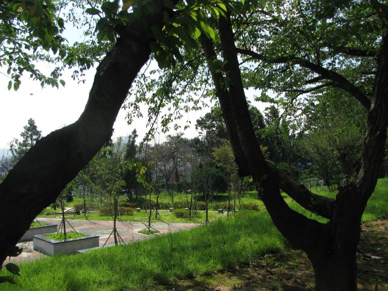 2010.9.4 033.jpg