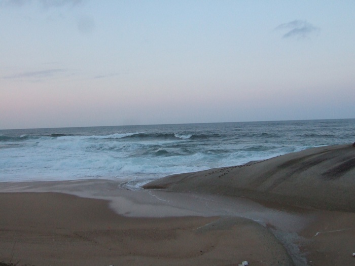 DSCF4390.JPG