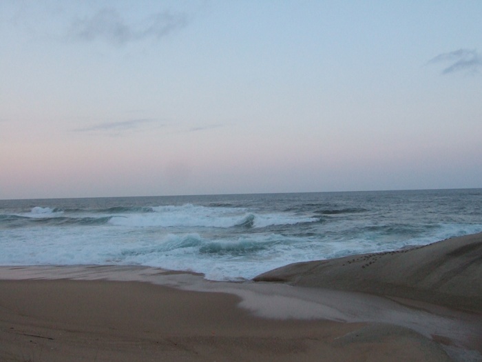 DSCF4391.JPG