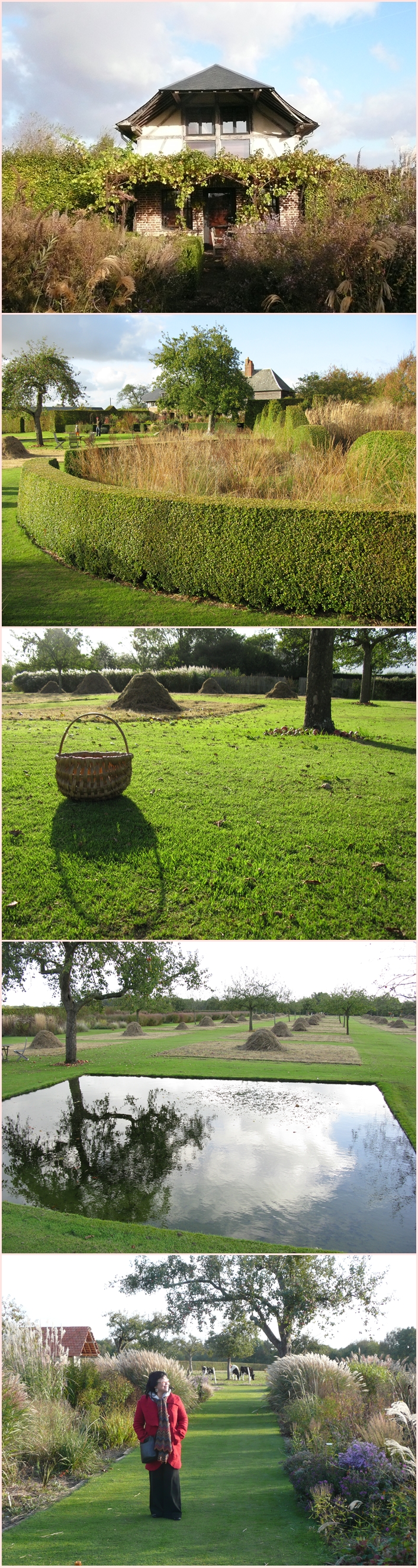 P1220911-vert.jpg