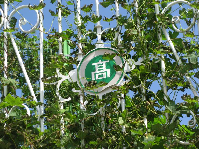 2010.9.4 049.jpg
