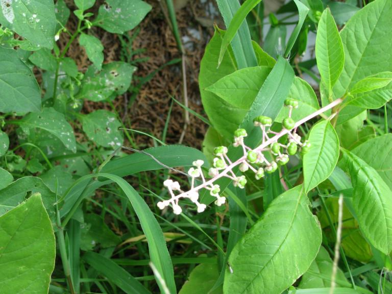 2010.9.4 051.jpg