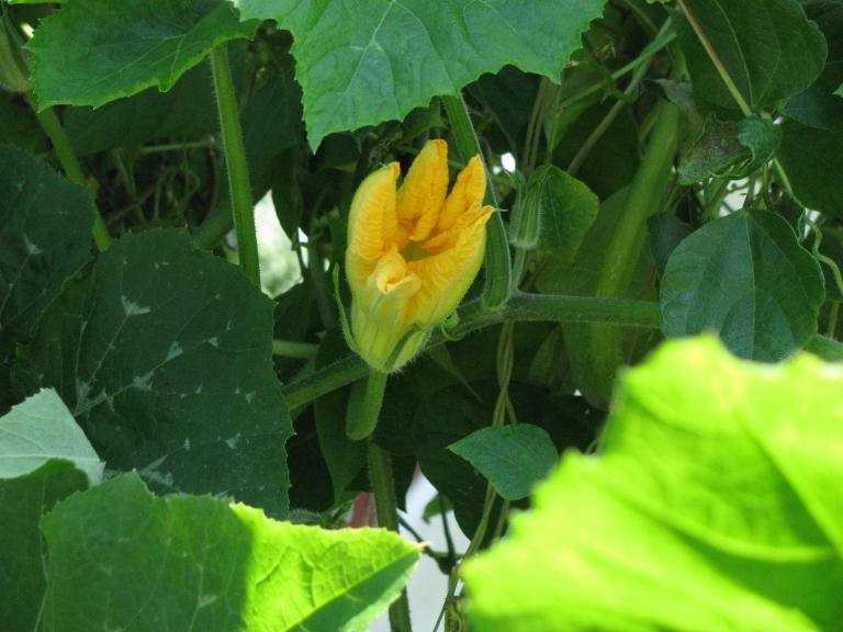 2010.9.4 121.jpg