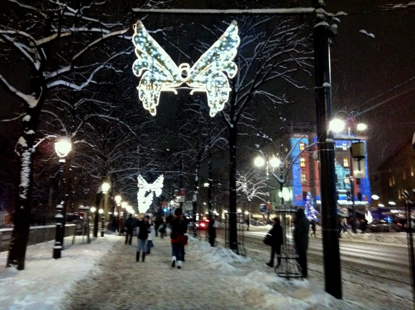 my love vienna with snow 3.JPG