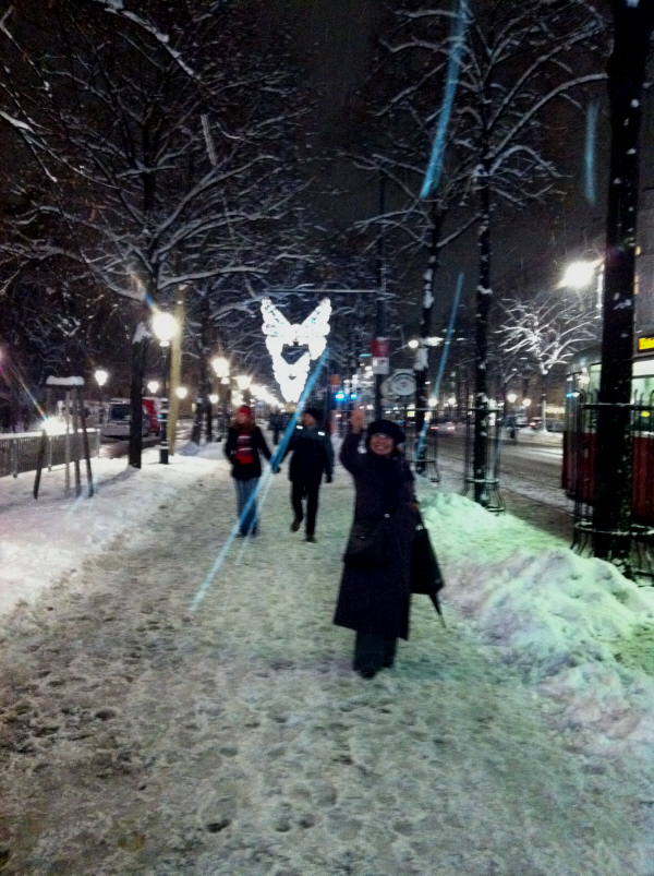 my love vienna with snow 5.JPG
