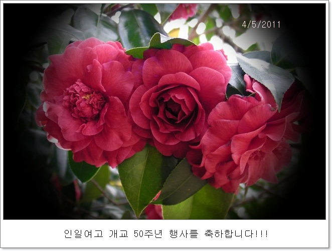 bb-SANY0919.JPG