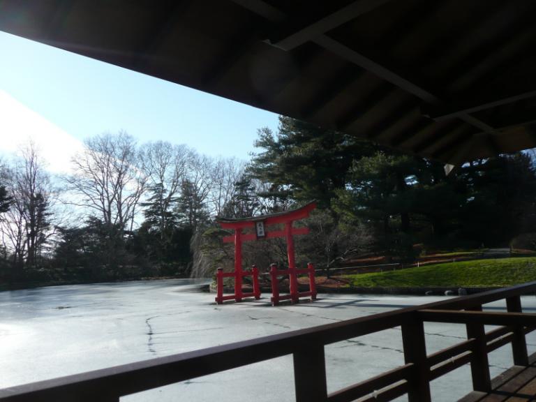 brooklyn botanic garden 4.JPG