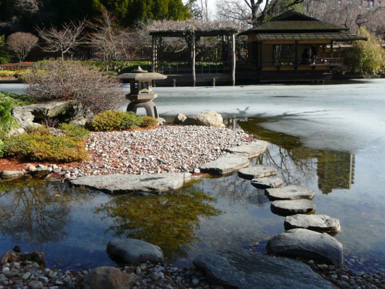 brooklyn botanic garden 5.JPG