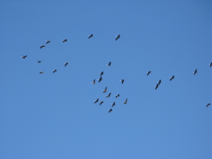 IMG_2623.JPG