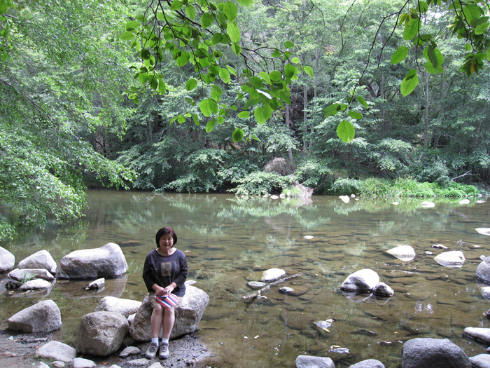 henry cowell redwoods 6-20-09 022-1.jpg