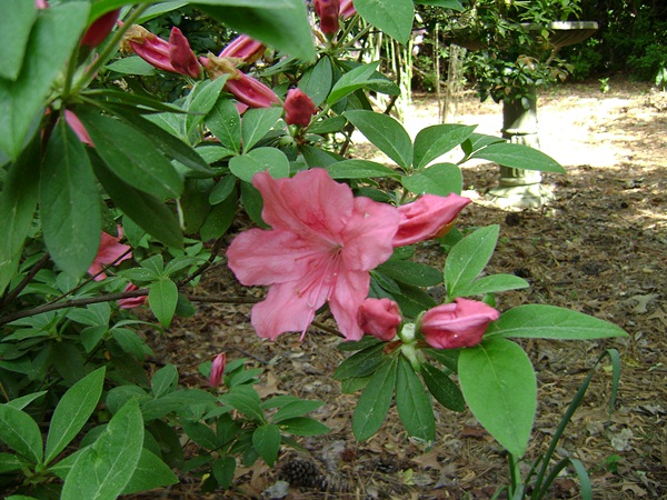 a-DSC03880.JPG