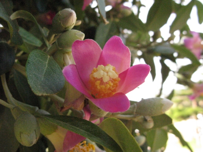 호주2009-3IMG_3750.JPG