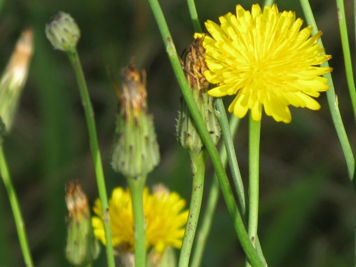 호주2009-3IMG_3770.JPG