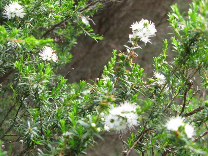 호주2009-3IMG_3784.JPG