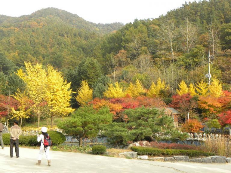 DSCN1150_resize.JPG