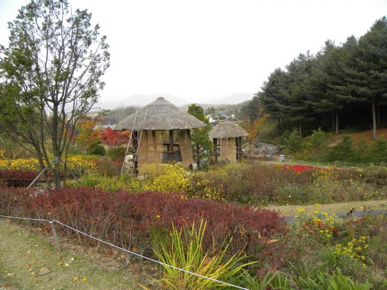 DSCN1162_resize.JPG