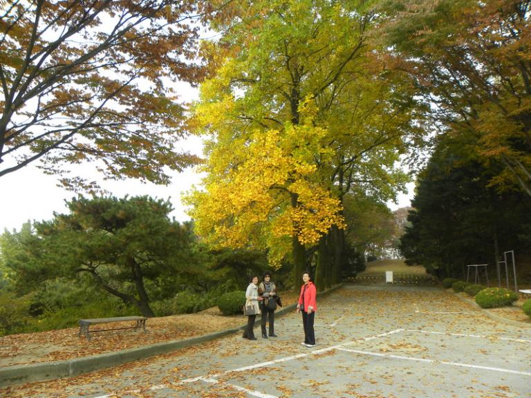 DSCN1203_resize.JPG