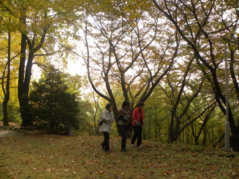 DSCN1208_resize.JPG