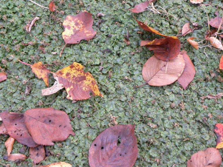 DSCN1219_resize.JPG